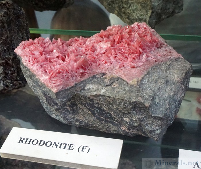 Rhodonite Crystals from the Franklin Mine