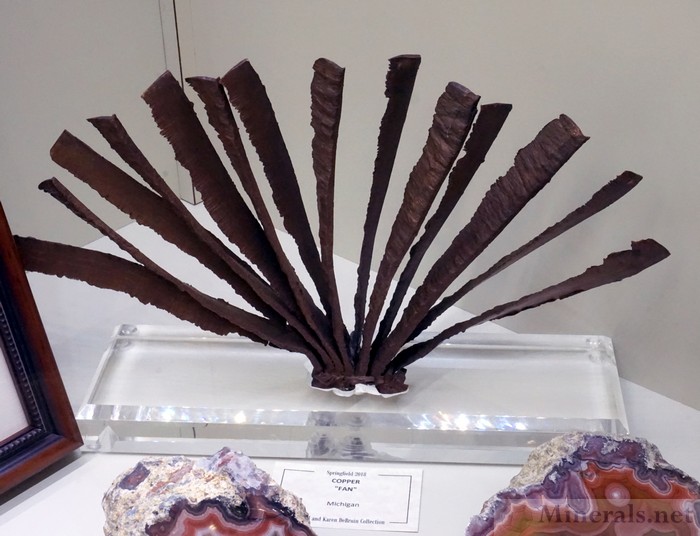 Copper Fan Formation as a Cornerstone of the Debruin Collection