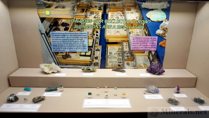 Young Mineral Collectors Case