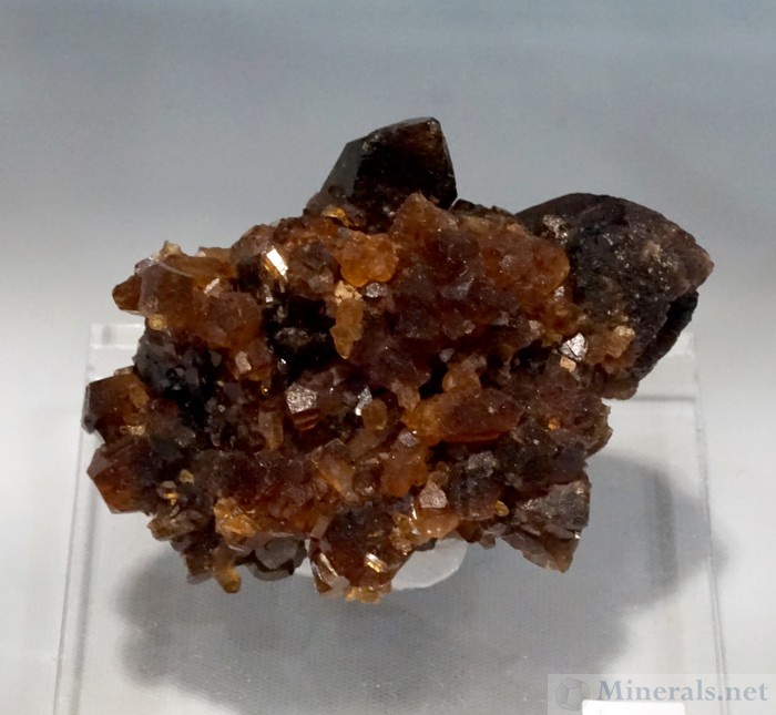 Deep Brown Citrine from Morocco, Pascal Quenaon