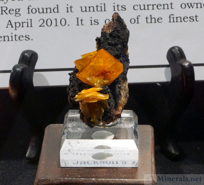 The Mineral of the 2019 Show Theme Wulfenite Poster