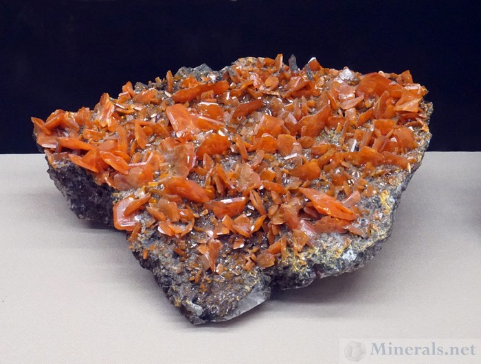 Wulfenite from the Red Cloud Mine, Trigo Mountains, La Paz Co, Arizona, Rice Museum of Rocks and Minerals