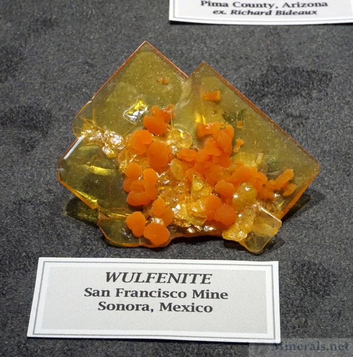 Wulfenite from the San Francisco Mine, Sonora, Mexico