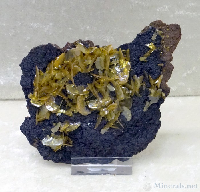 Wulfenite from the SIlver Bell Mine, Gleeson, Cochise Co., AZ, Arizona-Sonora Mineral Museum