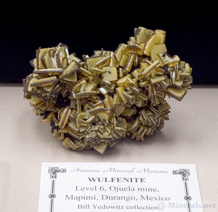 Wulfenite from Level 6, Ojuela Mine, Mapimi, Durango, Mexico, Arizona Mineral Minions Case, Bill Yedowitz Collection