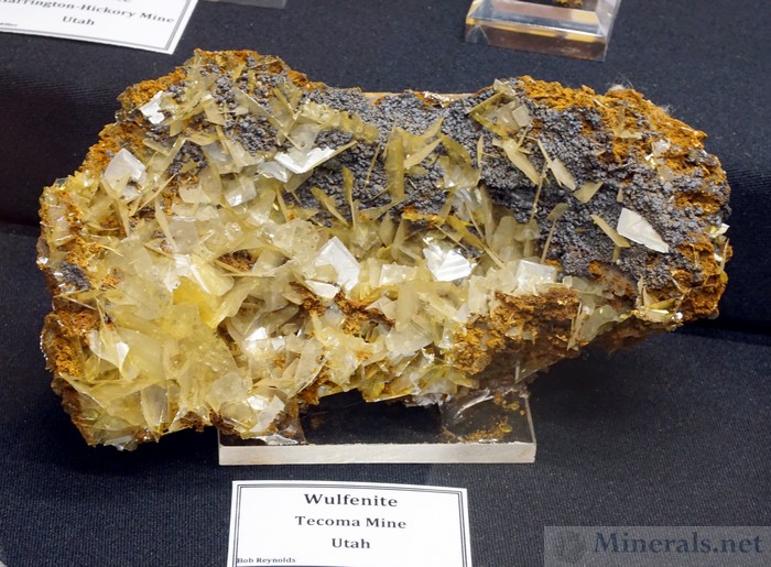 Wulfenite from the Tecoma Mine, Box Elder Co., Utah, Bob Reynolds Collection