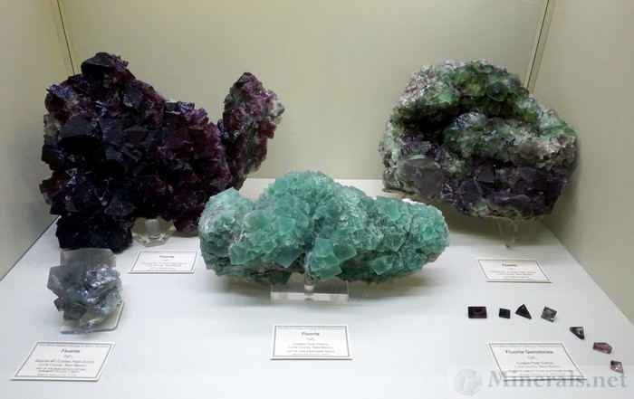 Outstanding Fluorite from the Cookes Peak District, Luna Co.