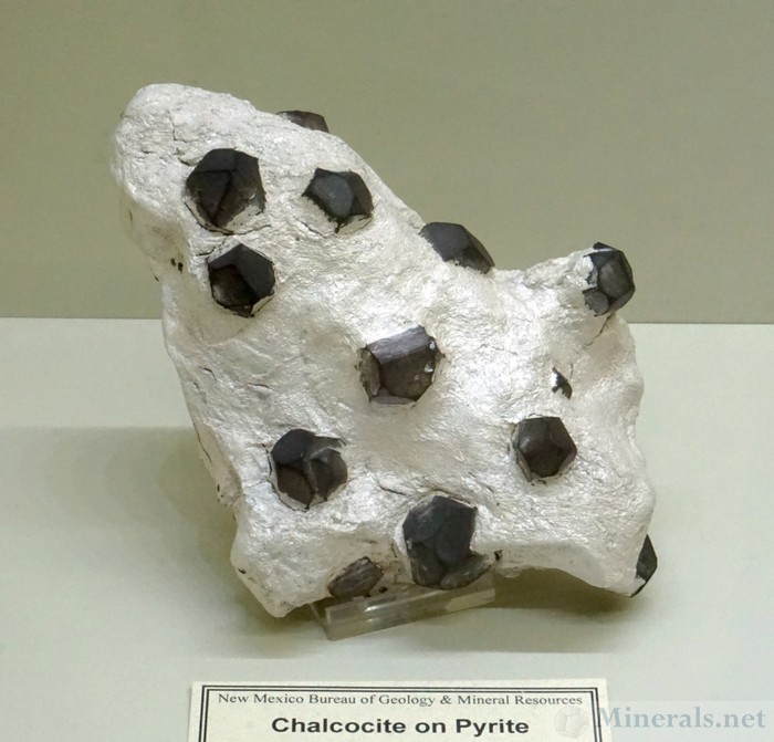 Chalcocite on Pyrite from the Chino Mine, Santa Rita, Grant Co., New Mexico