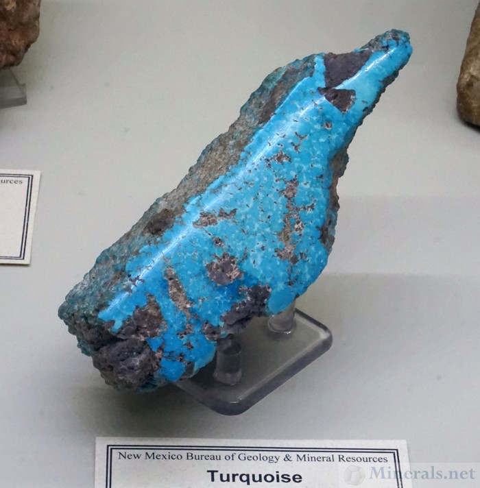 Turquoise from the Chino Mine, Santa Rita District, Grant Co., New Mexico
