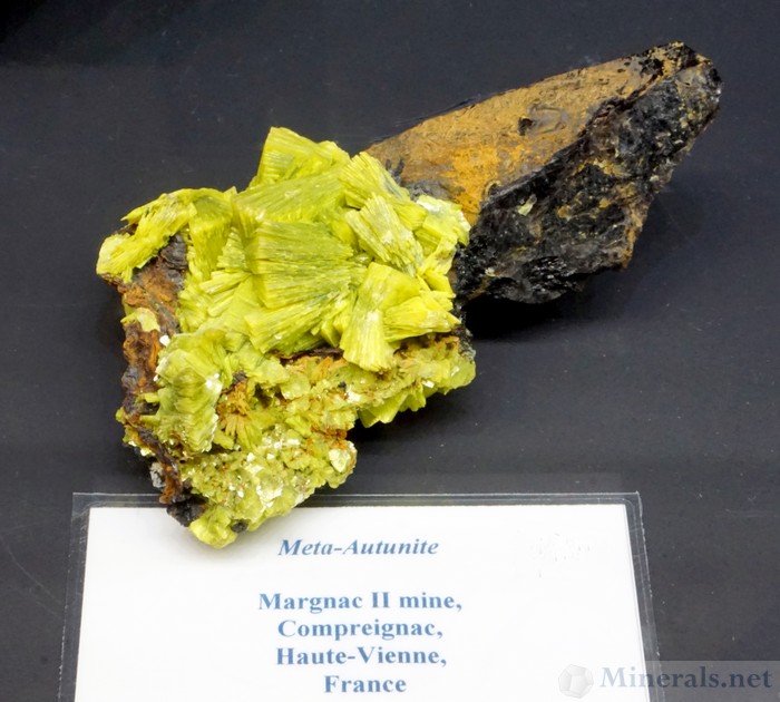 Meta-Autunite from the Margnac II Mine, Compreignac, Haute-Vienne, France: Weinrich Minerals