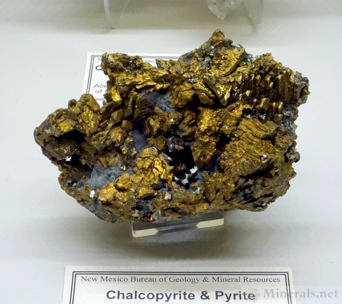 Chalcopyrite and Pyrite from the French Creek Mines, St. Peters, Chester Co., Pennsylvania