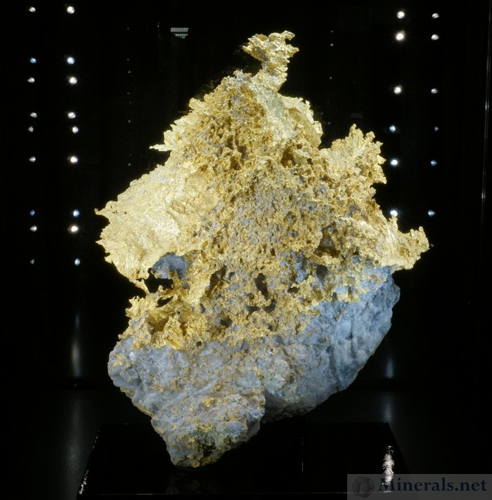 Dragons Lair Gold - A 113 Pound Gold Specimen discovered in September 2018 in in the Beta Hunt Mine, near Kambalda, Western Australia - Prepared by Collector's Edge Minerals and Pending Sale to the Pinnacle Collection