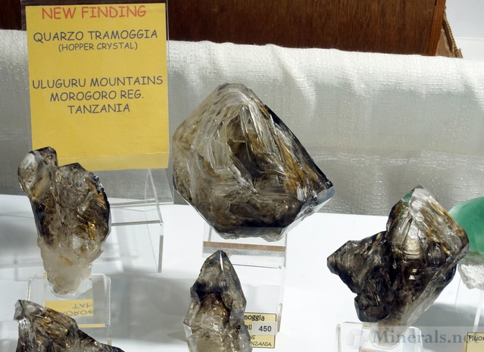 New Find of Skeletal Hoppered Smoky Quartz Crystals from the Uluguru Mountains, Morogoro Region, Tanzania - Corrado Vietti Minerals