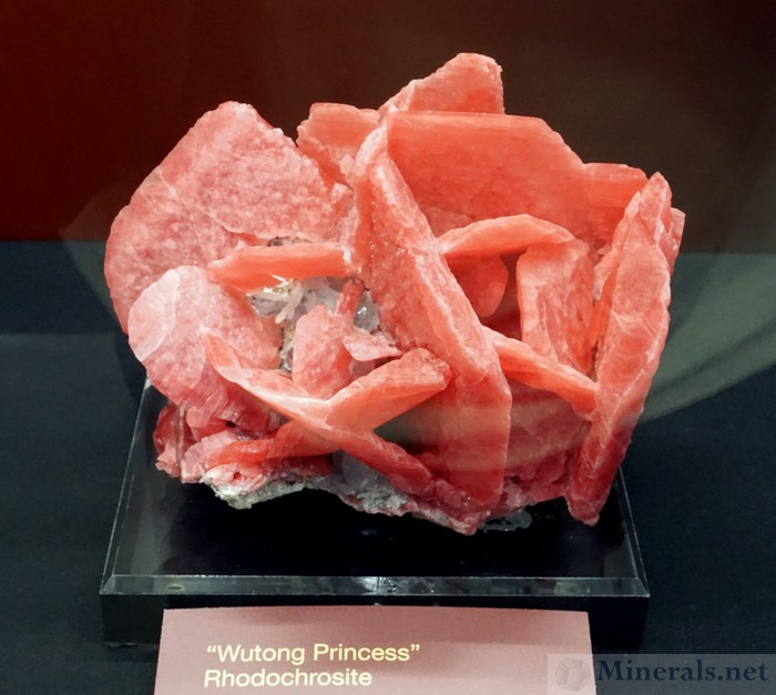 Large Rhodochrosite Crystals the Wutong Princess from the Wutong Mine, Wuzhou Prefecture, China - Perot Museum of Nature & Science: Collection of Gail & Jim Spann