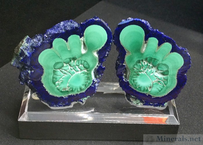 Happy Feet Azurite & Malachite from the Liufengshan Mine, Anhui Province, China - Perot Museum of Nature & Science:  Collection of Dr. Robert Lavinsky