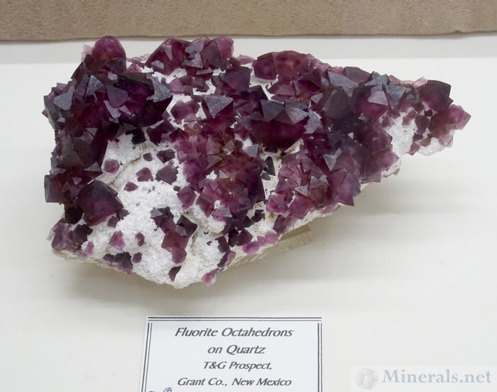 Purple Octahedral Fluorite on Quartz from the T&G Prospect, Grant Co., NM - Gregg and Glenn Hales, in Memoriam of Tom Hales