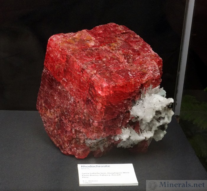 Giant Rhodochrosite Crystal from the Santa Isabella Vein, Huayallapon Mine, Pasto Bueno, Ancash, Peru - Mineralogical & Geological Museum of Harvard University