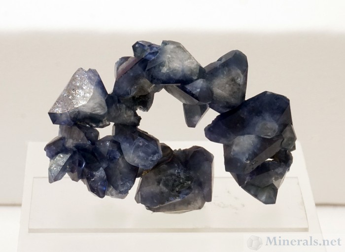 Famous Benitoite Crystal Cluster from the Dallas Gem Mine, San Benito Co., CA - Mineralogical Record Cover Specimen Jan-Feb 2008 - Natural History Museum of Los Angeles County