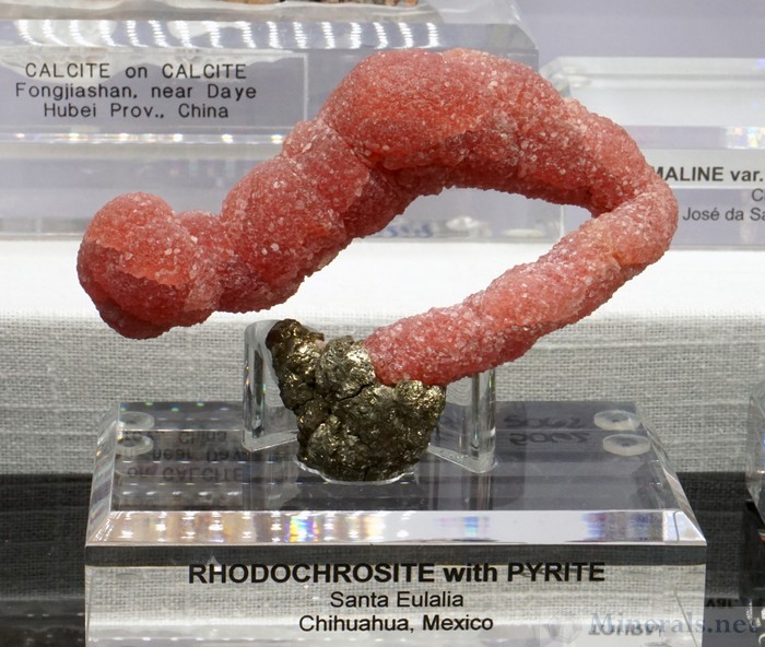 Rhodochrosite with Pyrite The Worm from Santa Eulalia, Chihuahua, Mexico - Marquis Pieces from the Spann Collection
