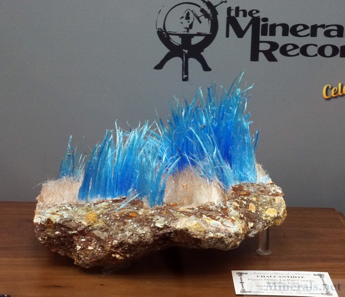 Large Chalcanthite Hairs from the Planet Mine, La Paz Co., AZ - Arizona Mineral Minions Tribute to Mineralogical Record - Michael Shannon Collection
