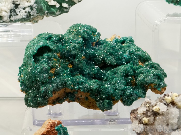 New Find of Drusy Dioptase from the Congo  - Spirifer Minerals