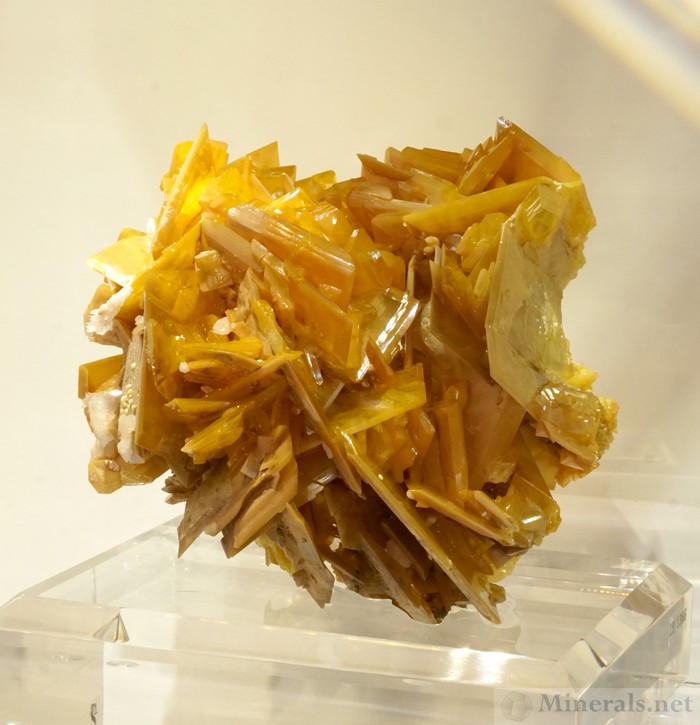 New Find of Wulfenite from the La Morita Mine, Chihuahua, Mexico. This is the Finest Wulfenite Discovery in 20 Years! - Collector's Edge Minerals