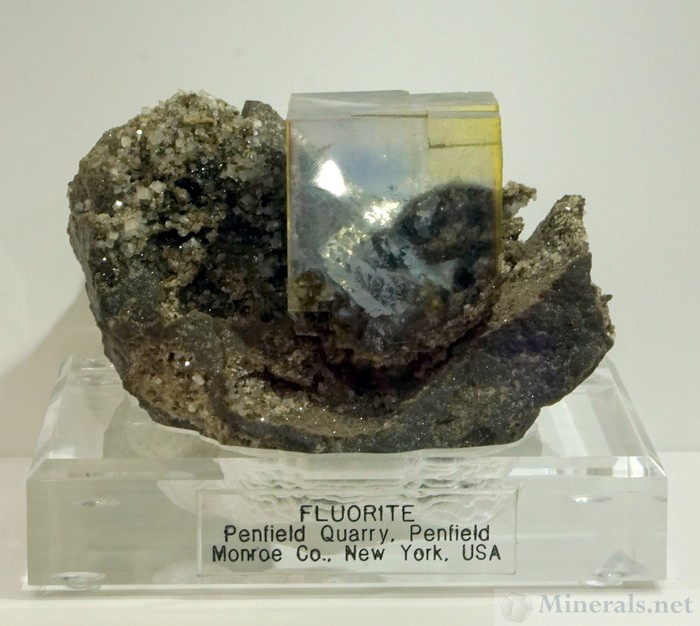 Fluorite on Dolomite Matrix from the Penfield Quarry, Monroe Co., NY, Natural Creations LLC