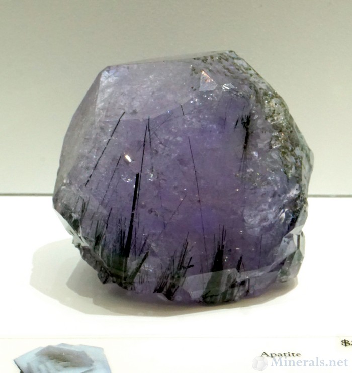 Purple Apatite Crystal with Black Crystal Inclusions (Tourmaline?) from the Warsak Area, Mohmand Agency Mine, Pakistan, Natural Creations LLC