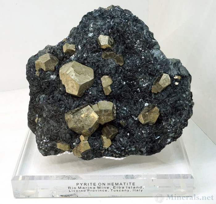 Pyrite on Hematite from the Rio Marina Mine, Elba Island, Italy, Barnett Fine Minerals