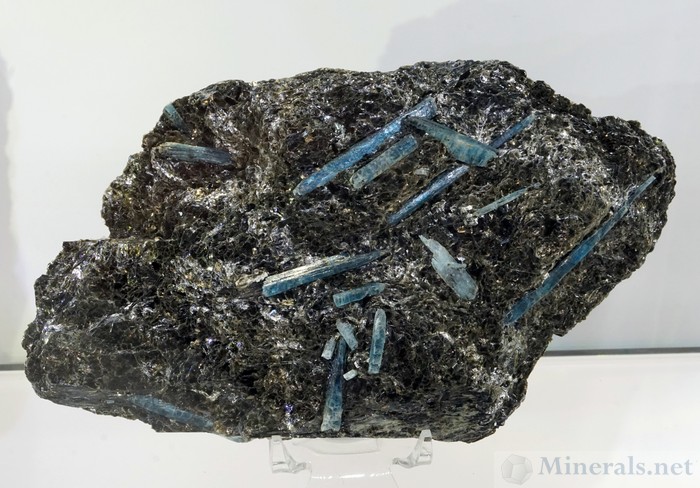 New Australian Ocean Kyanite on Biotite from the Harts Range, Australia, The Mineral Collective Collection