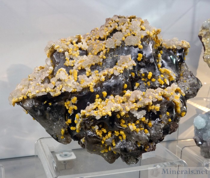 Wulfenite Crystals on Large Cerussite Crystal - Spirifer Minerals