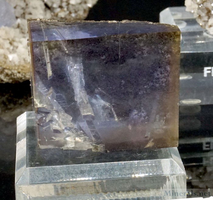 Purple Fluorite with Anhydrite Casts from the Penfield Quarry, Monroe Co., NY - Crystallize