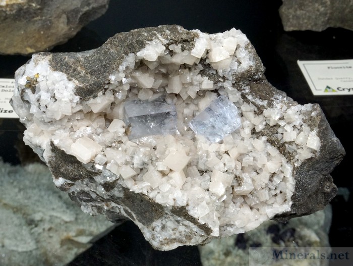 Blue Fluorite Cubes on Dolomite from the Penfield Quarry, Monroe Co., NY - Crystallize