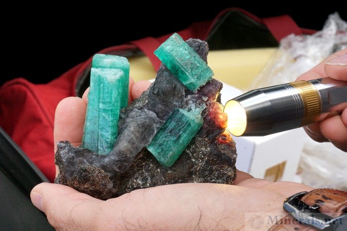Large Gemmy Emerald Crystals from Russia *** - Frederico Barlocher