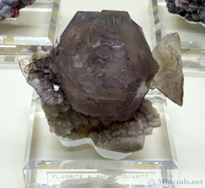 Fluorite and Smoky Quartz The Fish from Lake George, Colorado