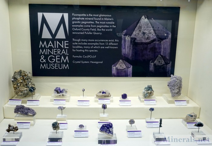 Purple Fluorapatite from the Collection of the Maine Mineral & Gem  Museum