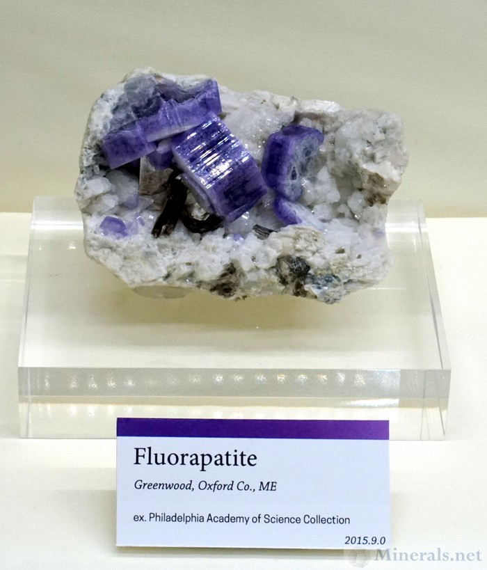 Purple Fluorapatite from Greenwood, Oxford Co., Maine, Maine Gem and Mineral Museum