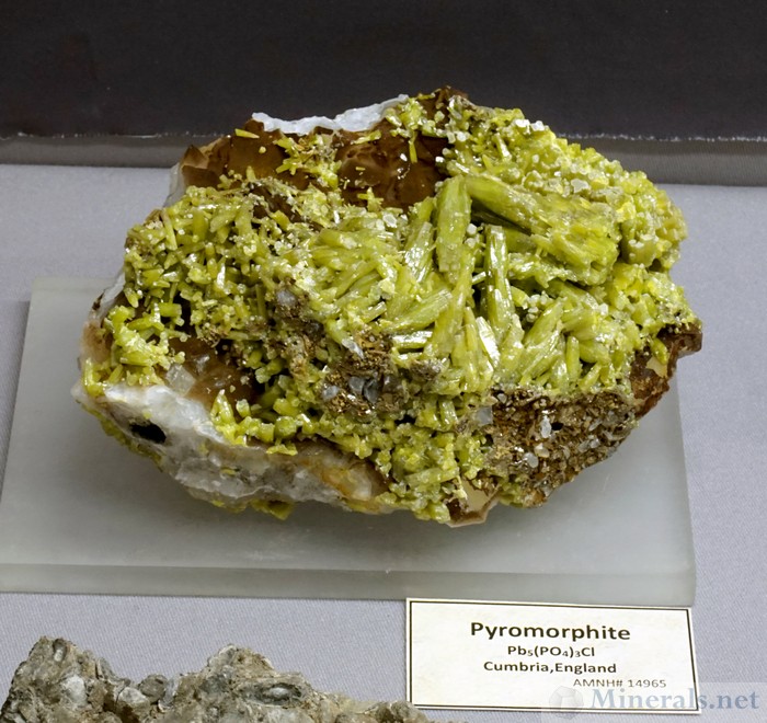 Lustrous Green Pyromorphite Crystals from Cumbria, England, American Museum of Natural History
