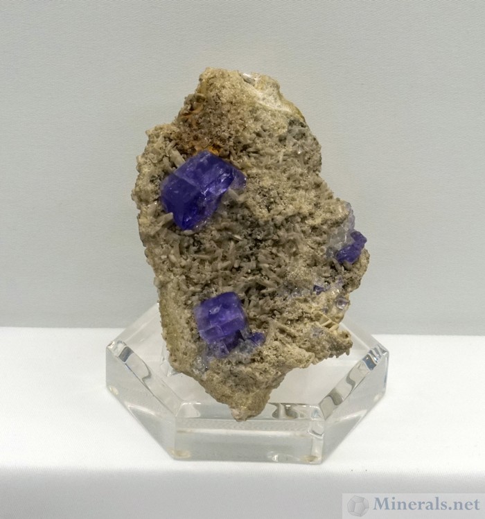 Purple Fluorapatite on Matrix from the Pulsifier Quarry, Auburn, Androscoggin Co., Maine, Harvard Museum of Natural History