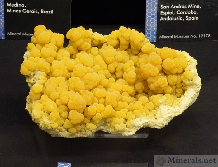 Botryoidal Mimetite from San Pedro Corralitos, Chihuahua, Mexico, The Beauty of the Apatite Supergroup, New Mexico Bureau of Geology Mineral Museum