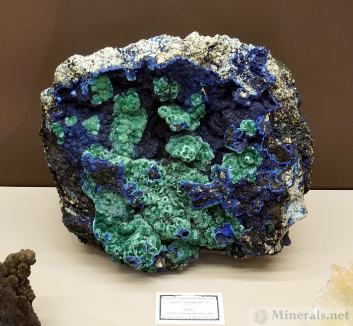 Azurite & Malachite, Bisbee, Arizona, U of Arizona Mining & Mineral Museum, Richard W. Graeme Tribute Exhibit
