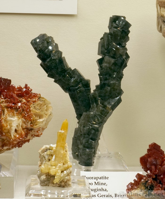 Stalactic Apatite Crystals from the Sapo Mine, Brazil, Gail & Jim Spann Collection, Richard W. Graeme Tribute Exhibit