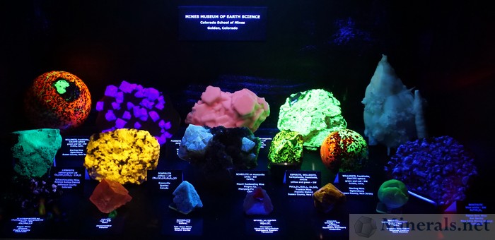 Various Fluorescent Minerals, Mines Museum of Earth Science, Colorado School of Mines
