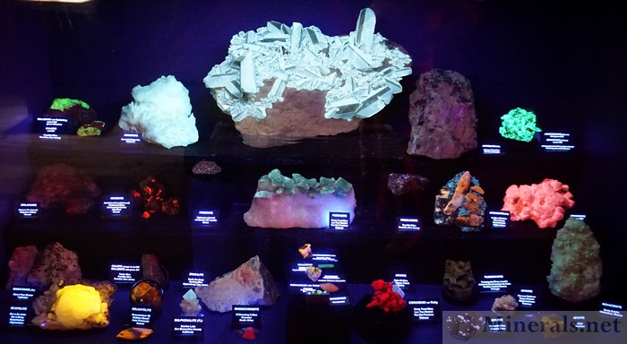 Various Fluorescent Minerals