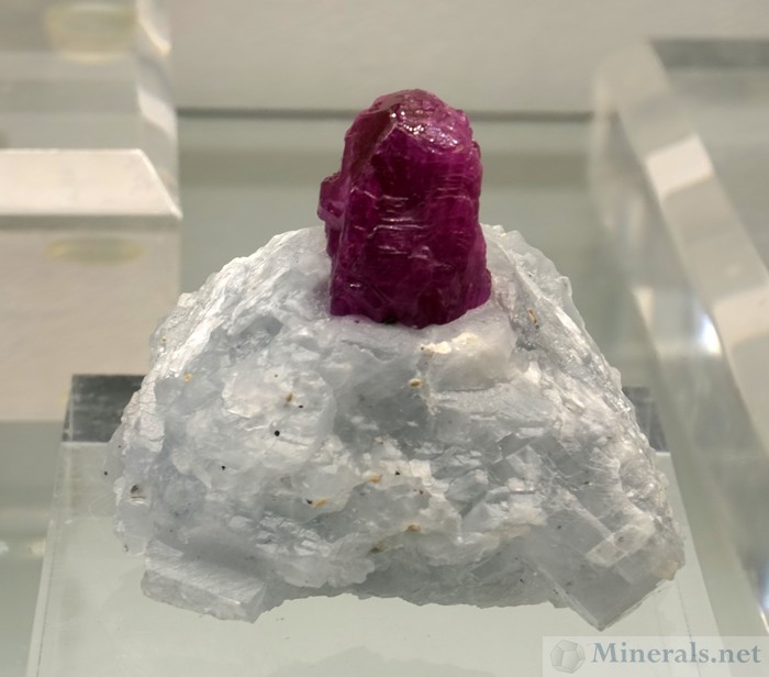 Ruby Crystal in Marble from Mogok, Burma, Brian Kosnar - Mineral Classics