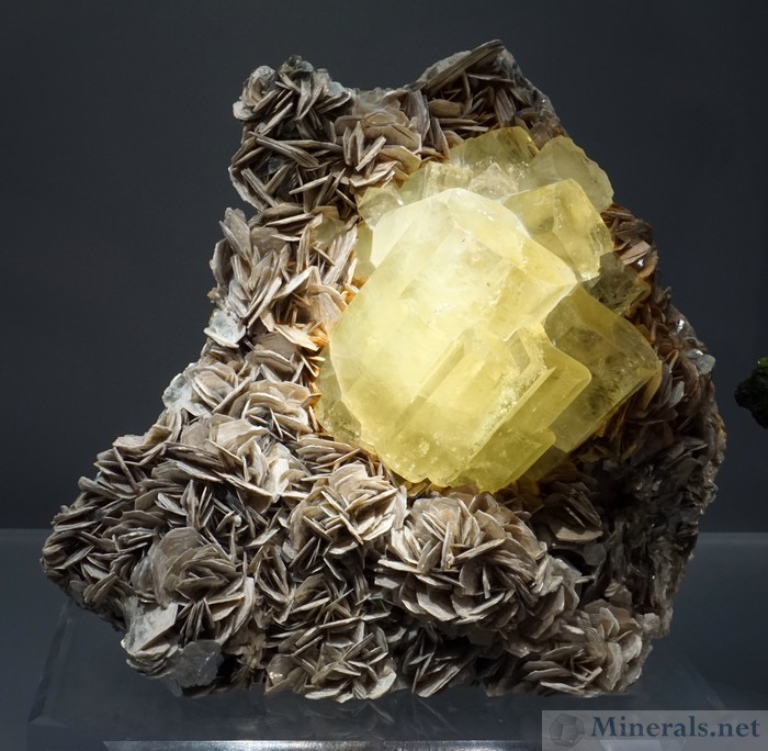 Yellow Beryl (Heliodor) on Muscovite from Tajikistan