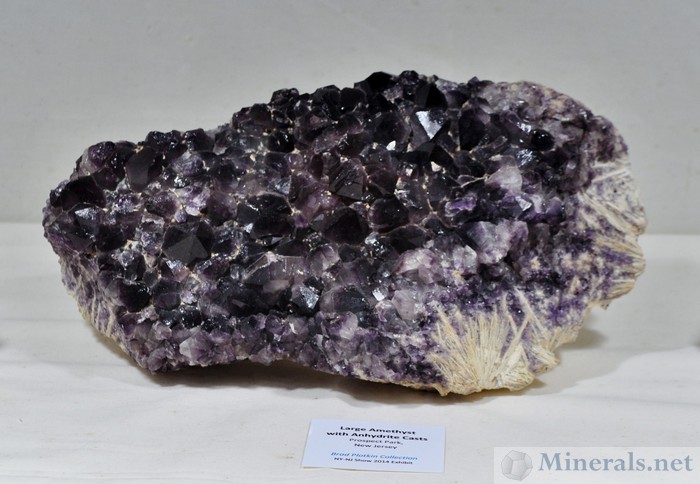 Amethyst - Prospect Park, NJ