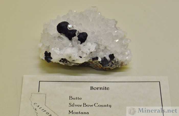Dan Evanich - Bornite Butte Montana