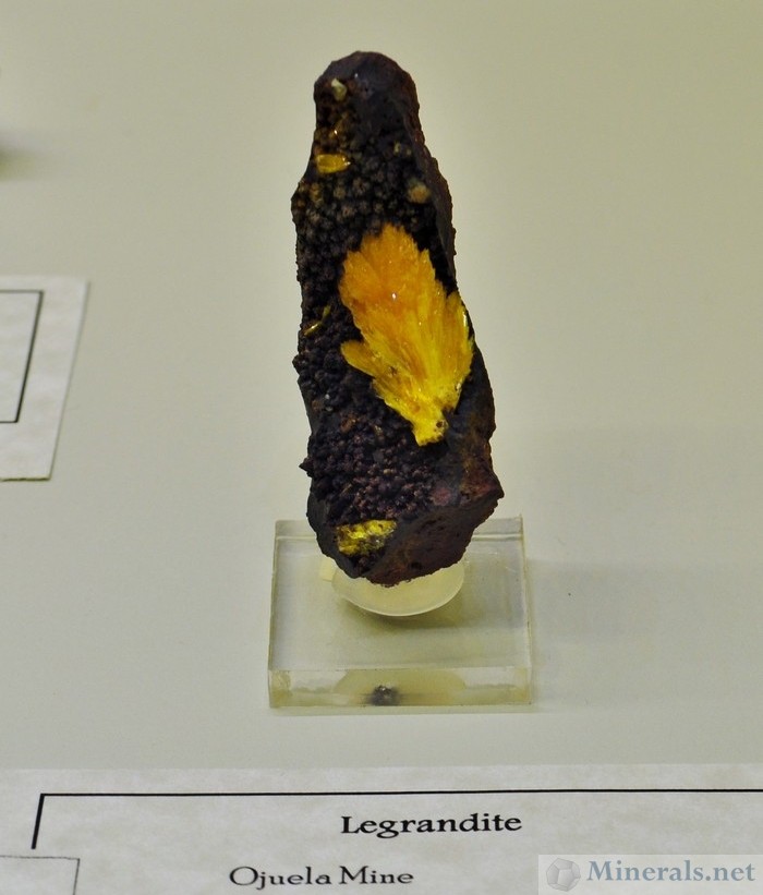 Legrandite from the Ojuela Mine in Mexico